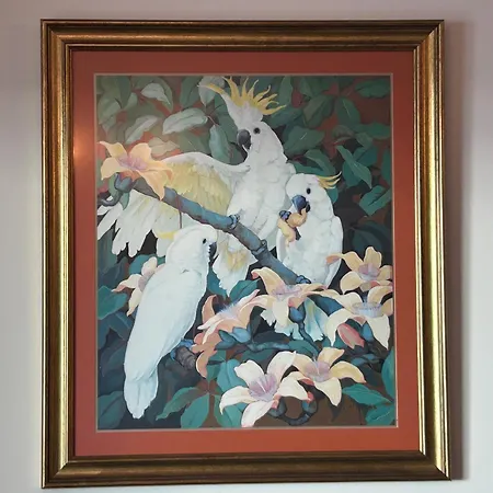 Ocean Sea View شقة فونشال