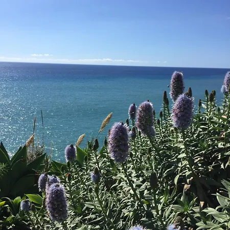 Ocean Sea View شقة فونشال